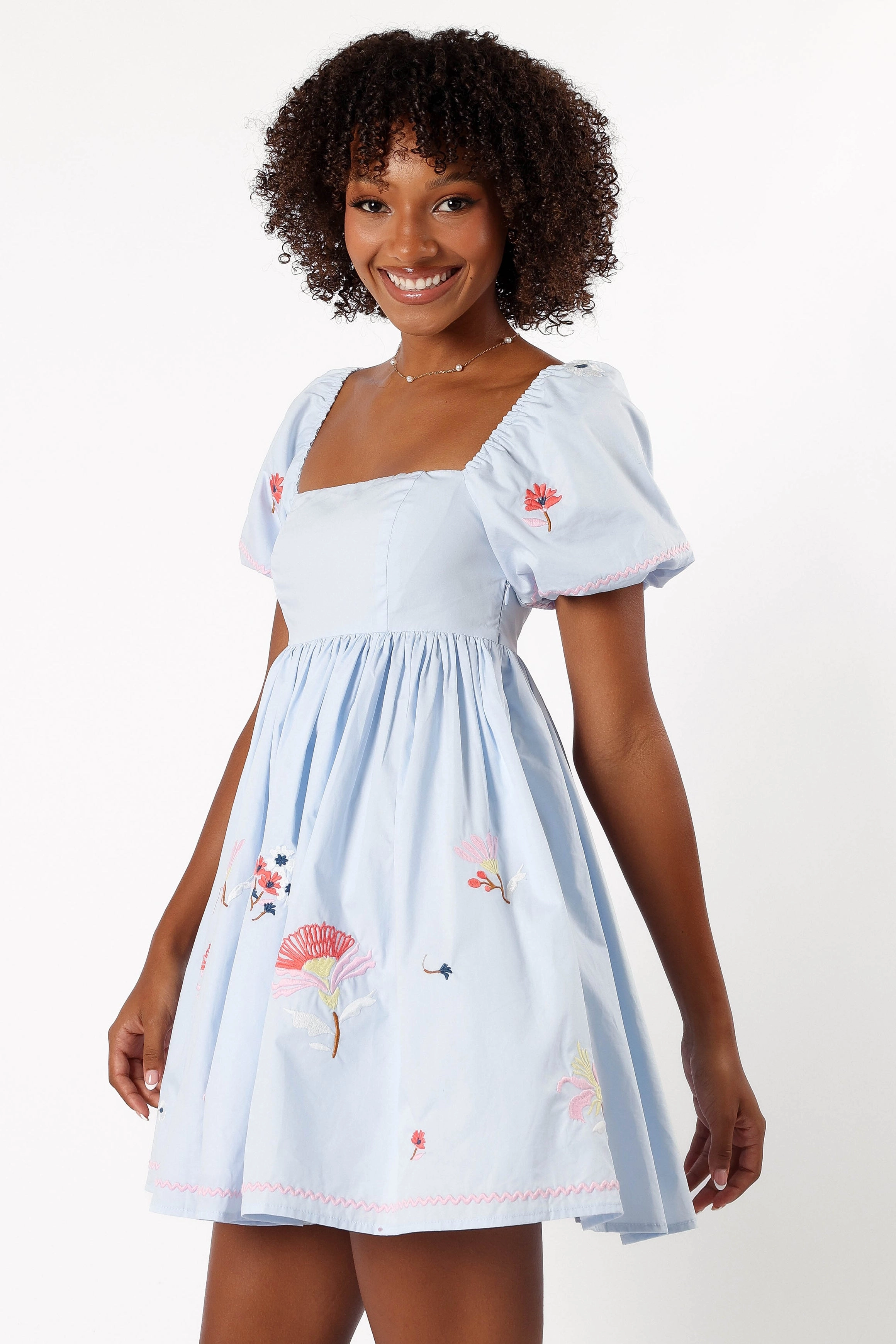 Dianna Mini Dress - Blue