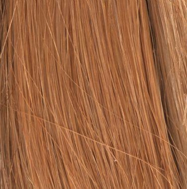Hh Invisible Extension Wig by Hairdo | Synthetic (Mono Top)