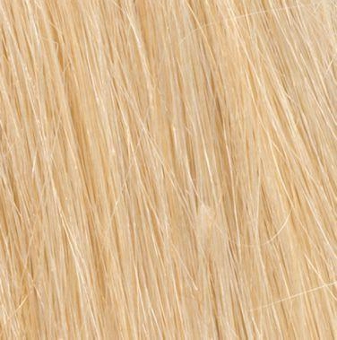 Hh Invisible Extension Wig by Hairdo | Synthetic (Mono Top)
