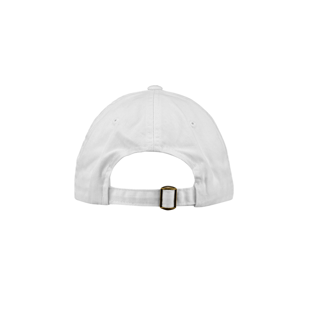 Miami HEAT Original Vice Logo Dad Hat