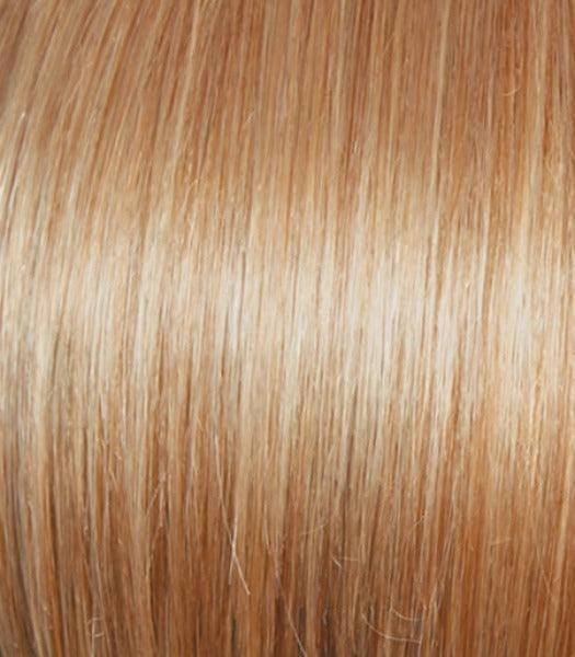 Own The Room Wig by Gabor | Synthetic Lace Front (Mono Part)