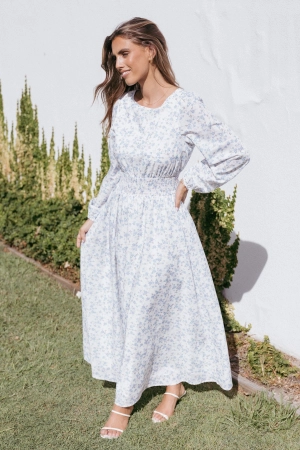 Roman Long Sleeve Maxi Dress - Blue Floral