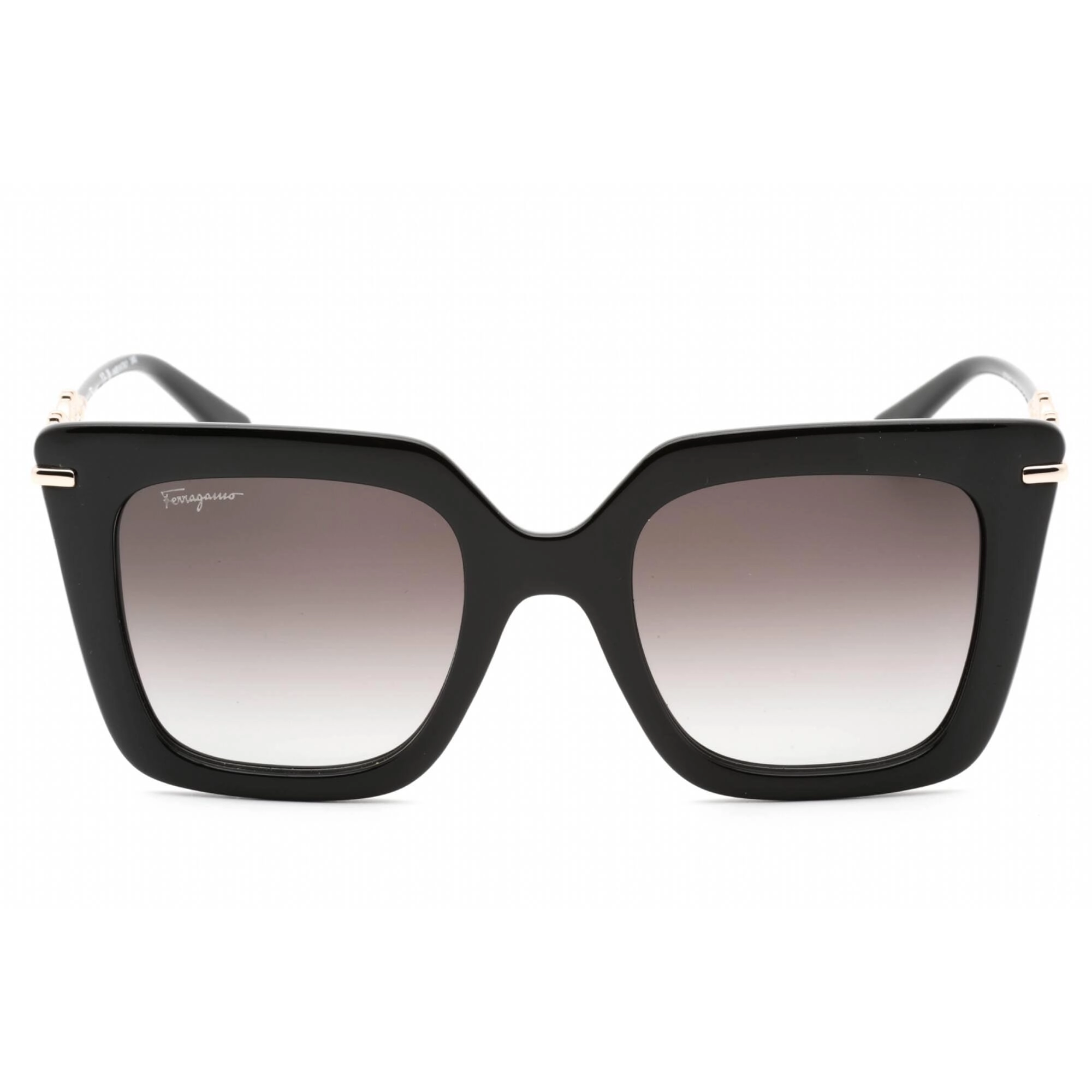 Salvatore Ferragamo Women's Sunglasses - Black Acetate Full Rim Frame | SF1041S 001